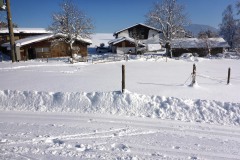 GA_Winter1
